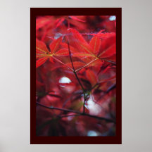 Japanes Maple Print