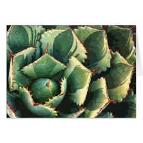 Japanese agave notecard cards