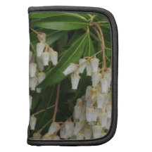 Japanese andromeda -white flowers, photograph folio planners