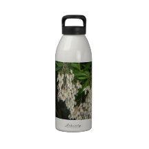 Japanese andromeda -white flowers, photograph drinking bottles