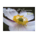 Japanese Anemone • RSVP Postcard