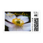 Japanese Anemone • September Wedding Stamp