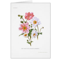 Japanese Anemones Greeting Cards