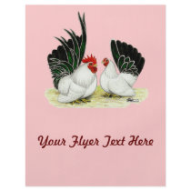 Japanese Blacktail Bantams
