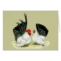 Japanese Blacktail Bantams Greeting Card