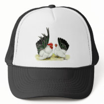 Japanese Blacktail Bantams