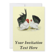 Japanese Blacktail Bantams