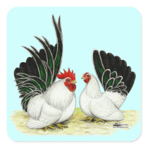 Japanese Blacktail Bantams