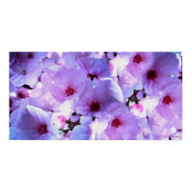 Japanese Blossom Collection posters
