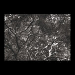 Japanese Branches canvas prints