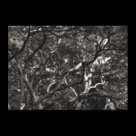 Japanese Branches III canvas prints