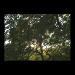 Japanese Branches IV canvas prints
