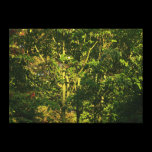 Japanese Branches V canvas prints