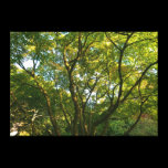 Japanese Branches VI canvas prints