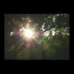 Japanese Branches VII canvas prints