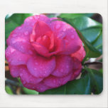 Japanese Camellia with Rain Drops-011 Mouse Pad