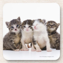Japanese cat beverage coaster