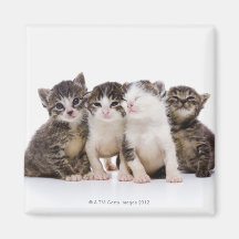 Japanese cat magnets