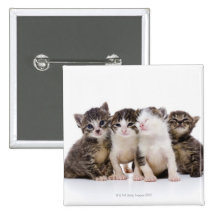Japanese cat pins