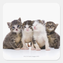Japanese cat square stickers