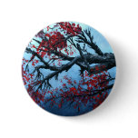 japanese cherry blossom flower tree  oriental art pinback buttons