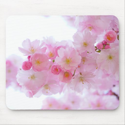 Japanese Cherry Blossom Mouse Pad Zazzle