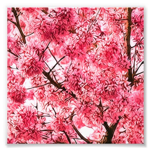 Japanese Cherry Blossom Tree (2013) Art Photo | Zazzle
