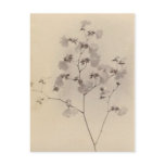 Japanese cherry blossoms post card