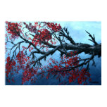 japanese cherry blossum flower art prints
