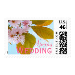 Japanese cherry spring wedding stamps