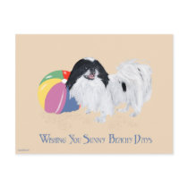 Japanese Chin Beach Ball Postcards