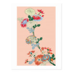 Japanese Chrysanthemum Postcard