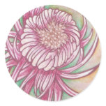 japanese, chrysanthemum