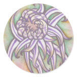 japanese, chrysanthemum