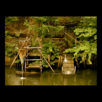 Japanese Crane by the Water posters