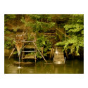Japanese Crane by the Water posters