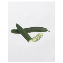 Japanese cucumber flyer design