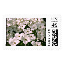 JAPANESE DOGWOOD by SHARON SHARPE postage