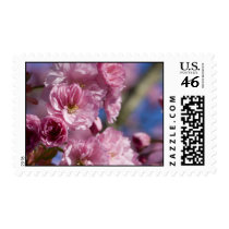 Japanese Flower Blossoms postage by slantedeyes Japanese Flower Blossoms postage