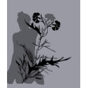 Japanese Flower t-shirts
