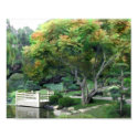 Japanese Garden 17 posters by ElainePlesser Japanese Garden 17 posters