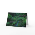 Japanese Garden cards by ELF1020 Japanese Garden cards