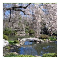 Japanese garden photography poster posters
