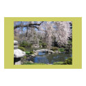 Japanese garden photography poster posters