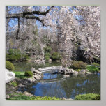 Japanese garden photography poster posters