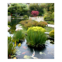 Japanese Garden Pond with Koi posters by ElainePlesser Japanese Garden Pond with Koi posters