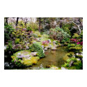 Japanese Garden posters