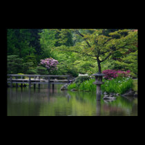 Japanese Garden posters