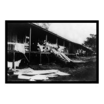 Japanese Houses in Honolulu, HI 1909 posters