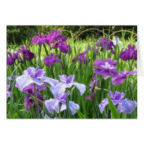 Japanese Iris cards by Kiyoshi Japanese Iris cards